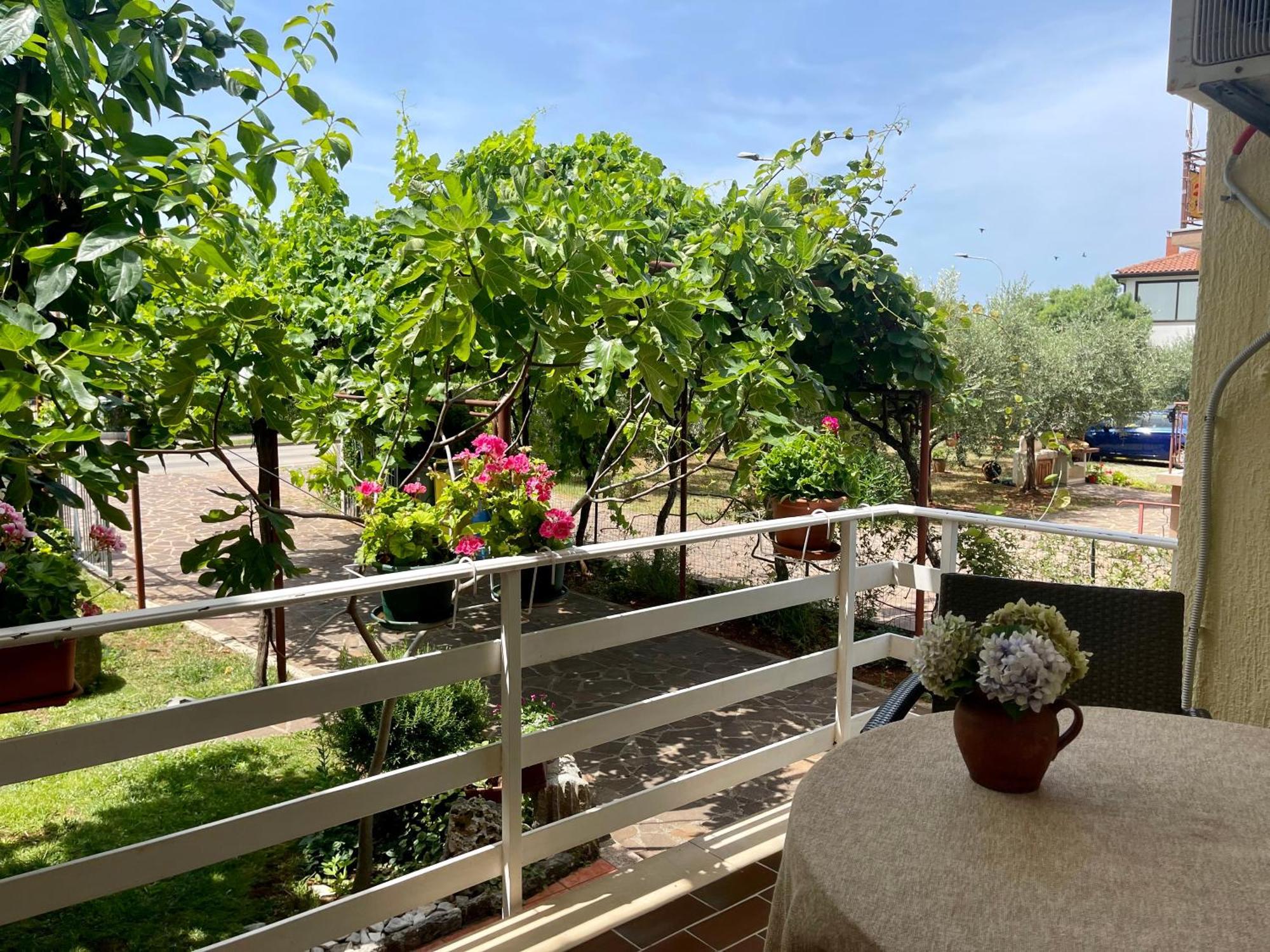 Apartments Maria Umag Dış mekan fotoğraf