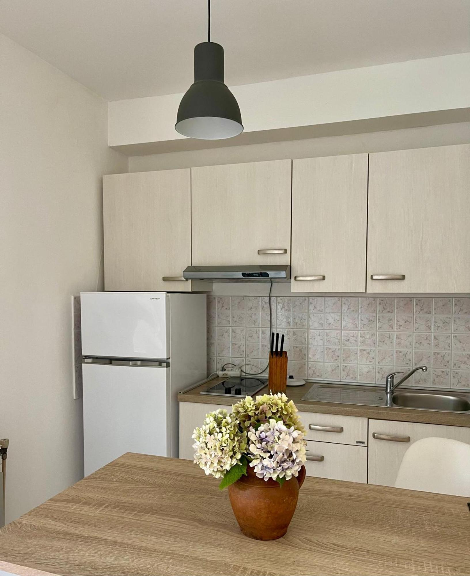 Apartments Maria Umag Dış mekan fotoğraf
