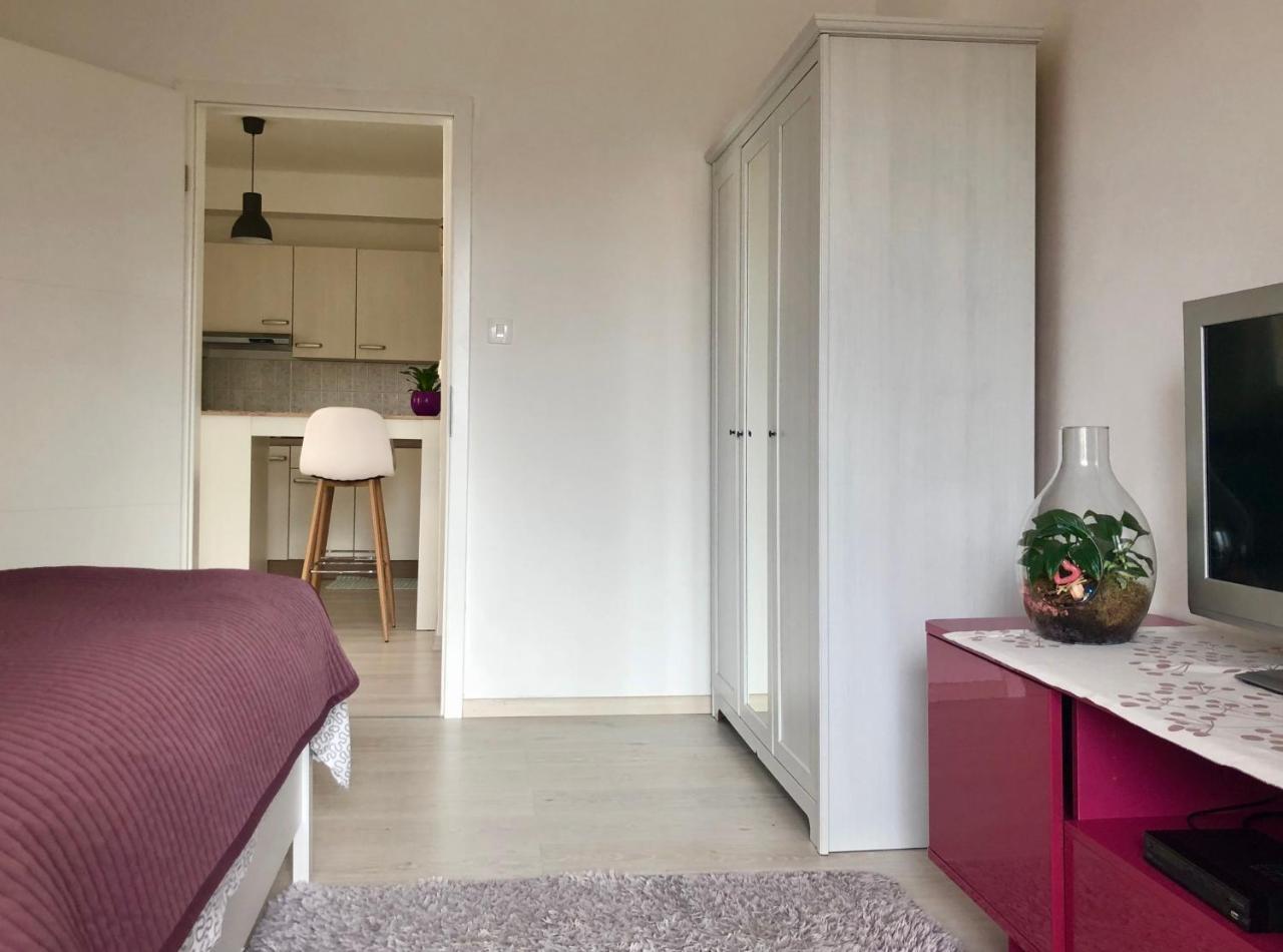 Apartments Maria Umag Dış mekan fotoğraf